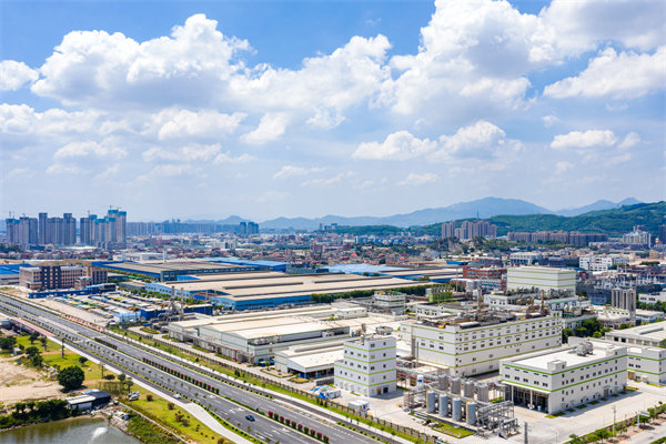 漳州企業(yè)如何借助管理咨詢實現高效轉型？