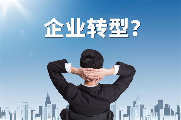 企業(yè)轉(zhuǎn)型無方向，數(shù)智化咨詢公司能否指引明路？